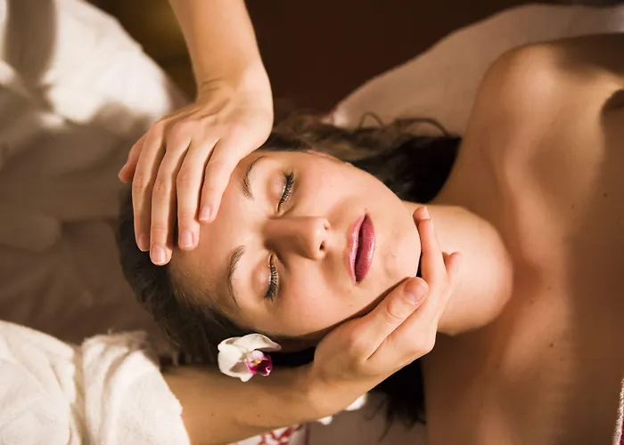 מלון Gut Schmelmerhof 3*